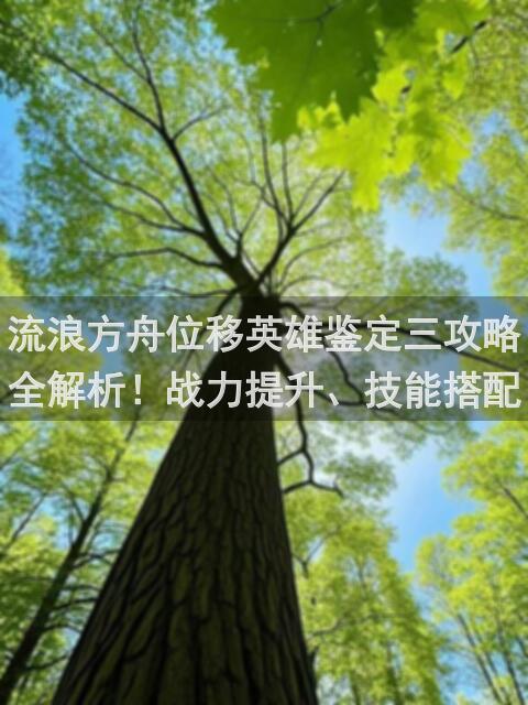 流浪方舟位移英雄鉴定三攻略全解析！战力提升、技能搭配教学大揭秘！